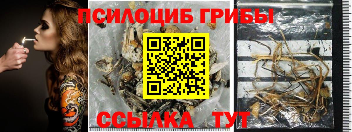 закладки  Вход с VPN  Псилоцибиновые грибы Magic Shrooms  Кольчугино  Псилоцибиновые грибы MAGIC MUSHROOMS 